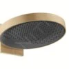 Hansgrohe Rainfinity - Kopfbrause 360 Mit Anschluss, 1 Strahlart, Bronze Gebürstet 26230140