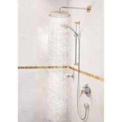 Hansgrohe Raindance Classic - Kopfbrause 270 Air, 1 Strahlart, Brausearm 390 Mm Chrom/Gold 27424090 -Hansgrohe Verkaufsgeschäft 5c3ee29af2a8cba01c742032