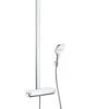 Hansgrohe Raindance Select E - Duschsäule Mit Thermostatbatterie 360 Mm, Weiß / Verchromt 27112400