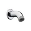 Hansgrohe Aktiva - Brausearm 100 Mm, Chrom 27438000