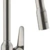 Hansgrohe Focus M42 - Spültischarmatur M4216-H220, Mit Ausziehbarer Geschirrbrause, Edelstahl 71820800